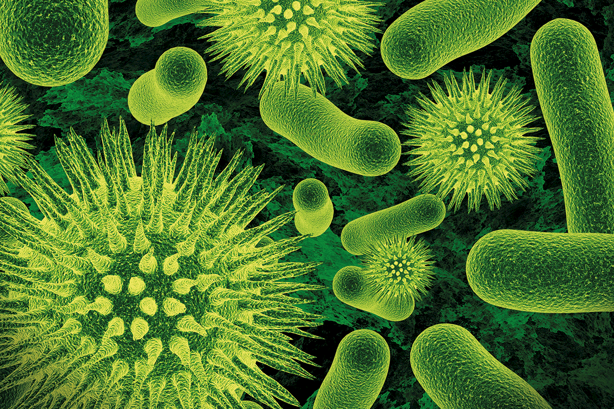 Illustrierte Mikroskopische Abbildung von Bakterien